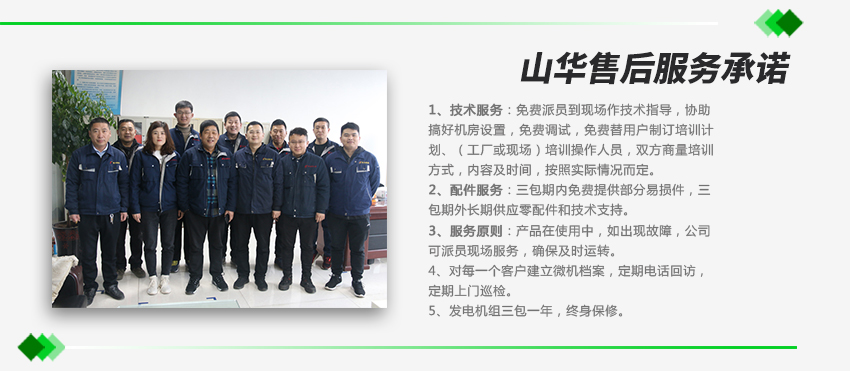 燃?xì)獍l(fā)電機組宣傳圖 \
